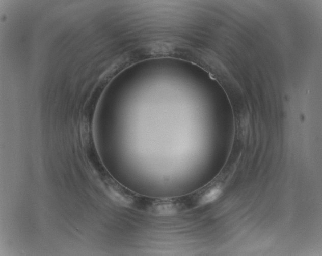 X0000072990228200607211207