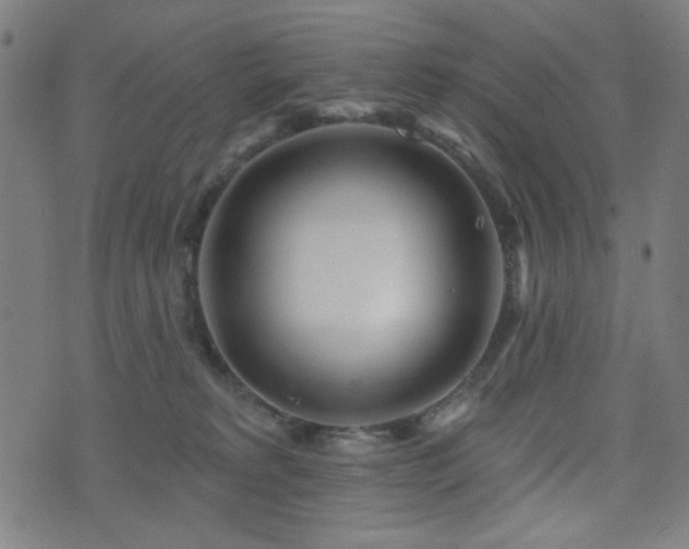 X0000072990229200607211207