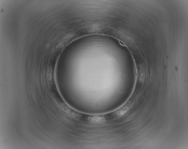 X0000072990230200607211207