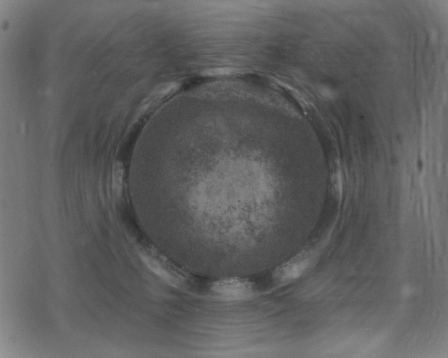 X0000072990231200607211207