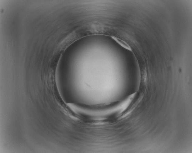 X0000072990233200607211207