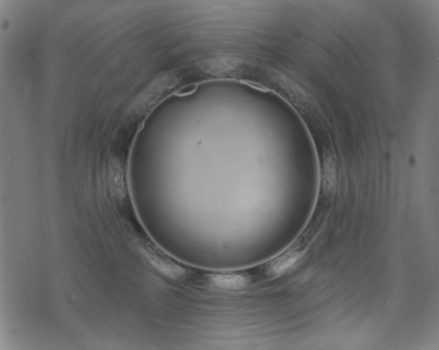 X0000072990234200607211207