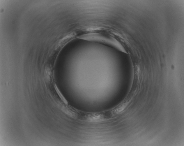 X0000072990235200607211207