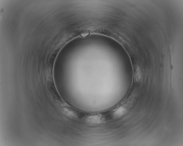 X0000072990236200607211207