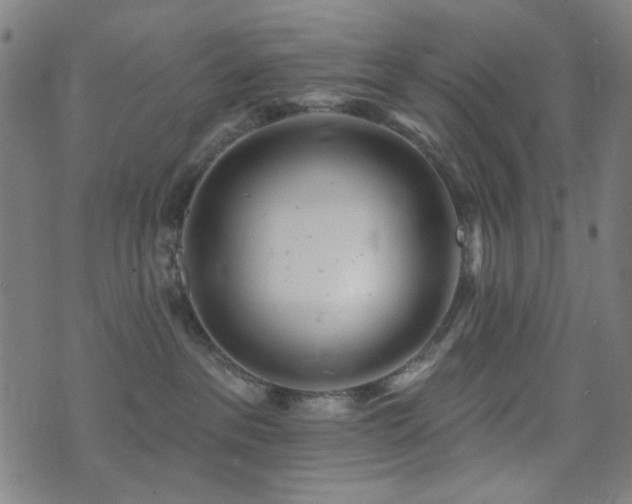 X0000072990237200607211207