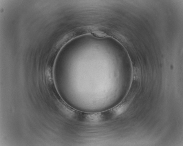 X0000072990238200607211207