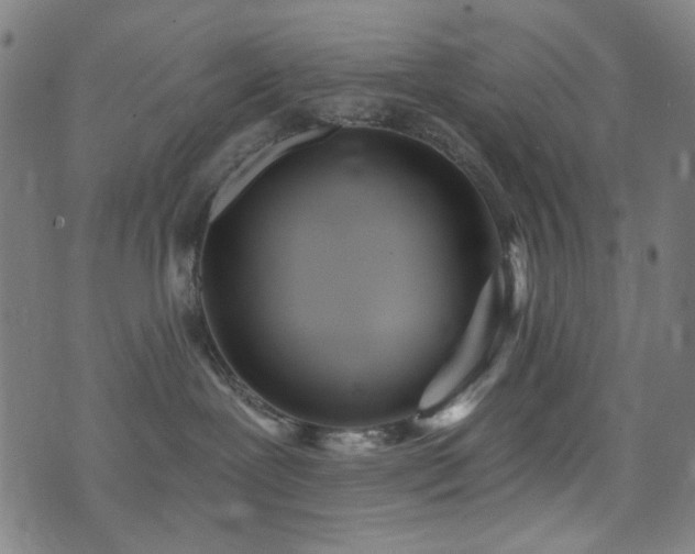 X0000072990239200607211207