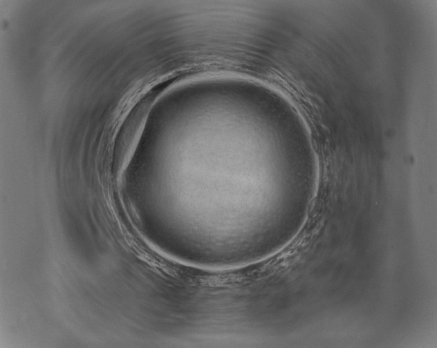 X0000072990241200607211206