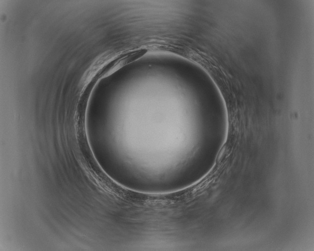 X0000072990242200607211206