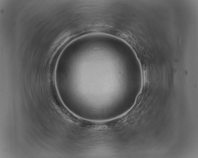 X0000072990243200607211206