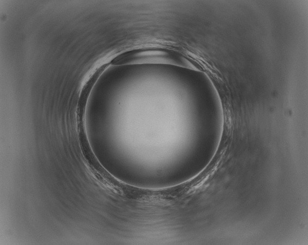 X0000072990244200607211206