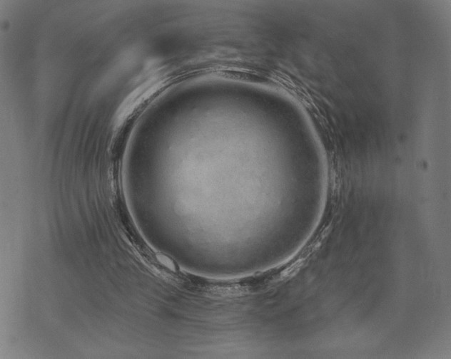 X0000072990245200607211206