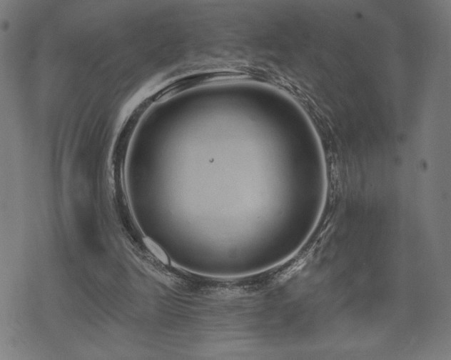 X0000072990246200607211206