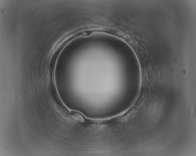 X0000072990247200607211206