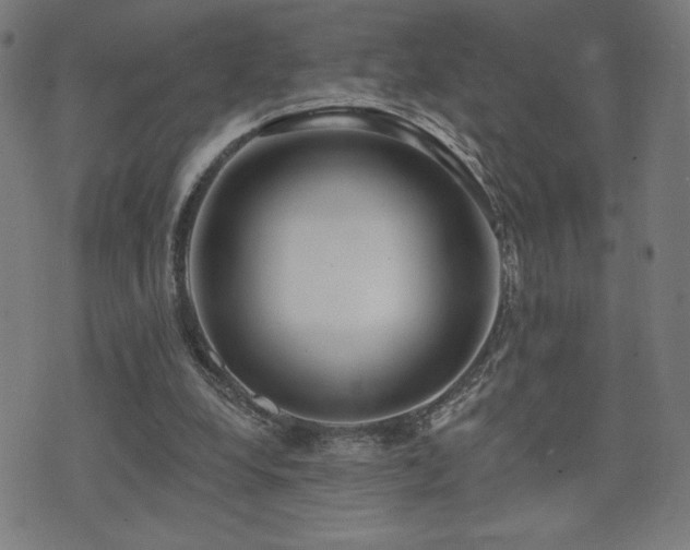 X0000072990248200607211206