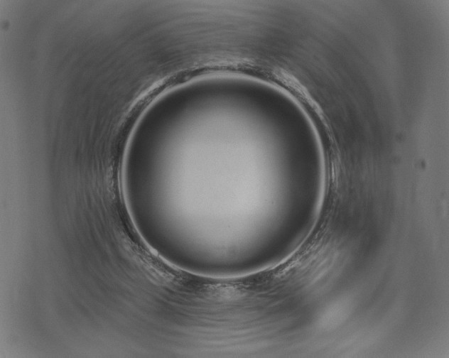 X0000072990249200607211206