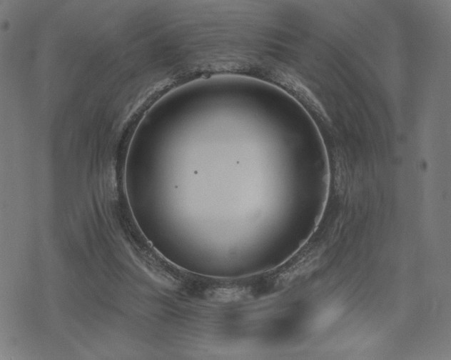 X0000072990251200607211206