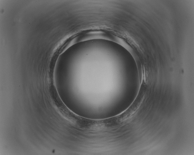 X0000072990252200607211206