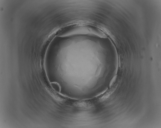 X0000072990253200607211206