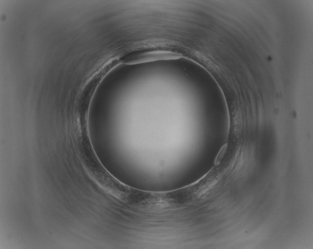 X0000072990254200607211206