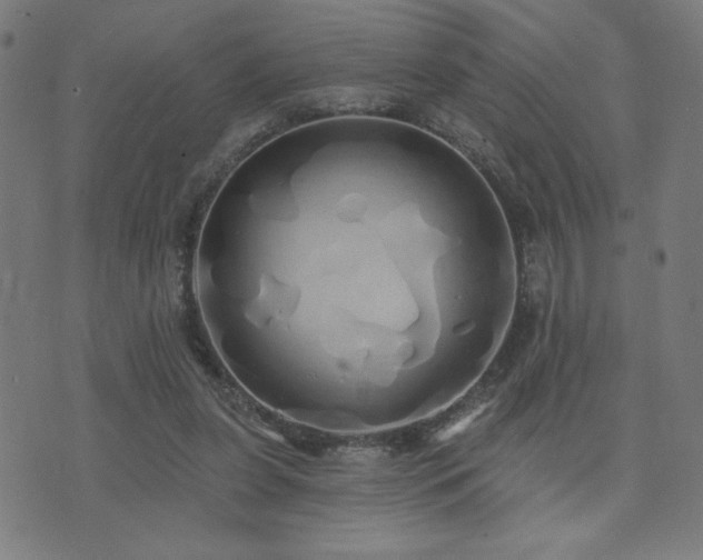 X0000072990255200607211206