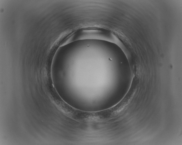 X0000072990256200607211206