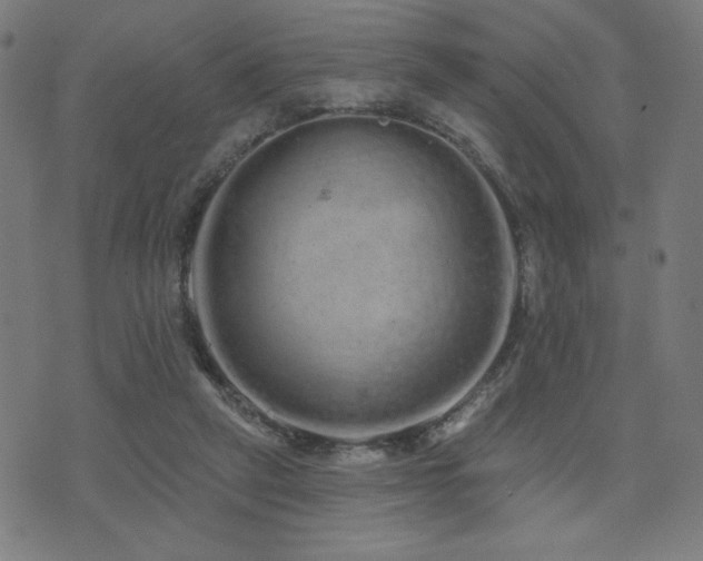 X0000072990257200607211206