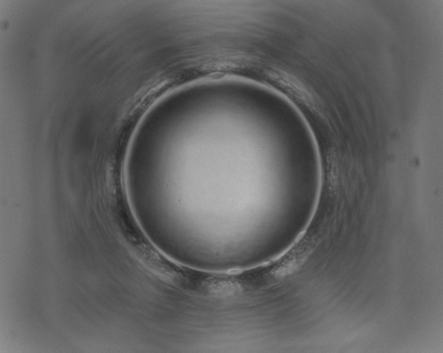 X0000072990258200607211206