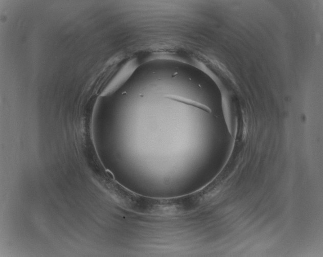 X0000072990260200607211206