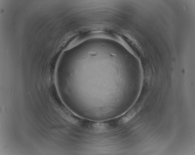 X0000072990261200607211206