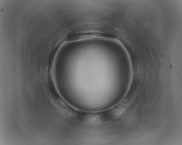 X0000072990263200607211206