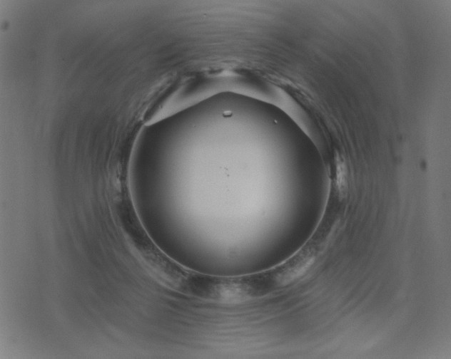 X0000072990264200607211206