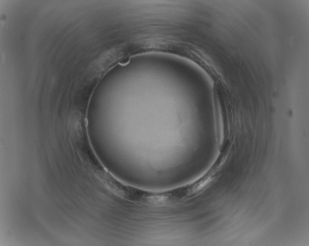 X0000072990265200607211206