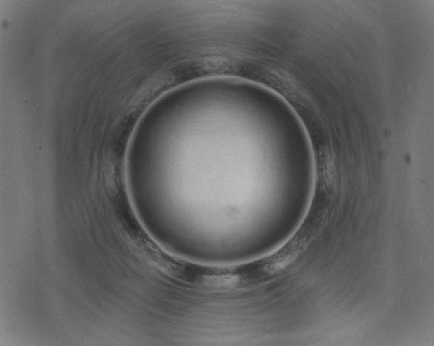 X0000072990266200607211206