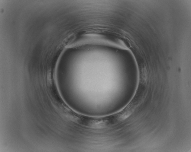 X0000072990267200607211206