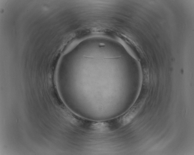 X0000072990269200607211206