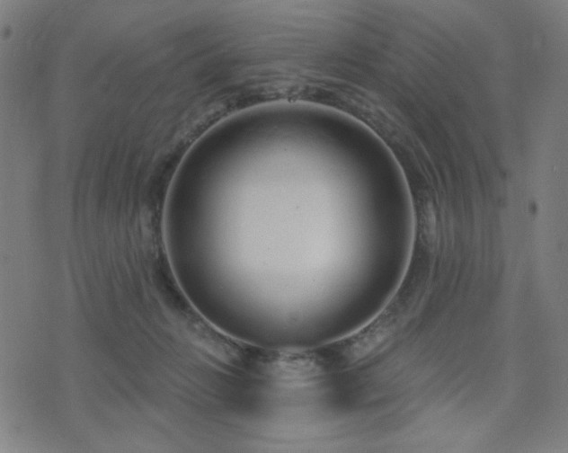 X0000072990270200607211206