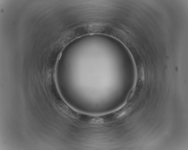 X0000072990271200607211206