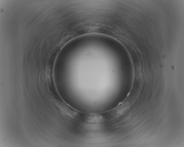 X0000072990274200607211206