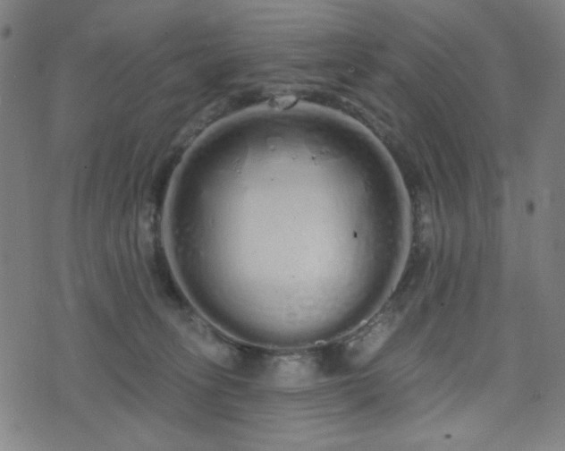 X0000072990275200607211206