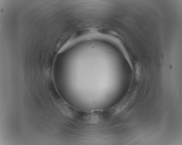 X0000072990276200607211206