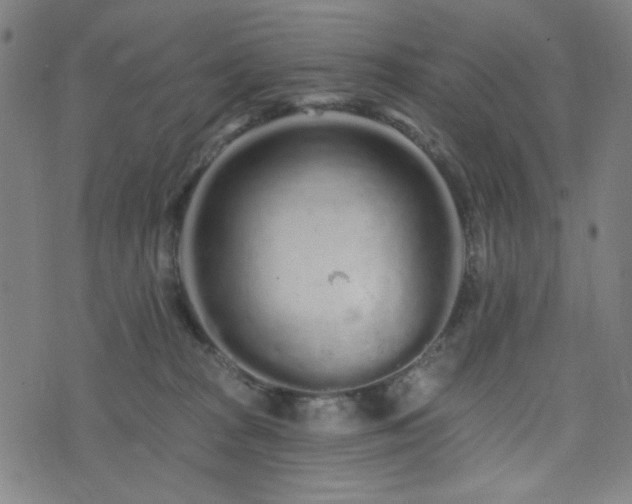 X0000072990277200607211206