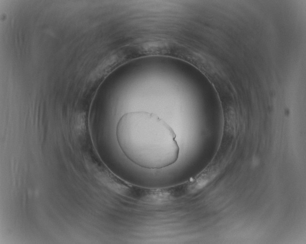 X0000072990278200607211206