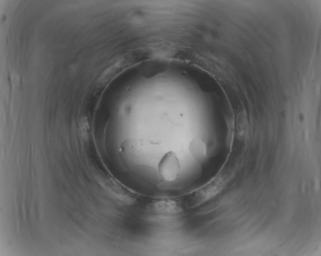 X0000072990279200607211206