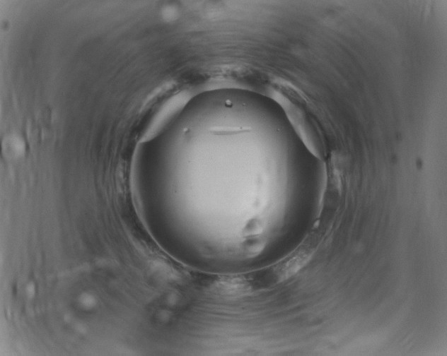 X0000072990280200607211206