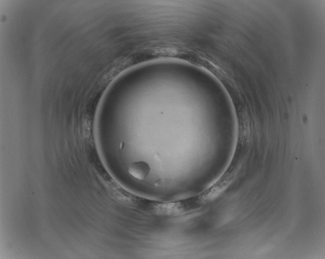 X0000072990281200607211206