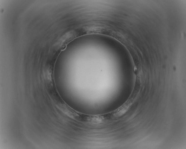 X0000072990282200607211206