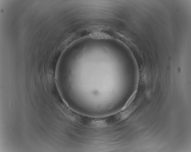 X0000072990283200607211206