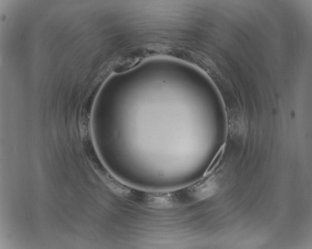 X0000072990285200607211206