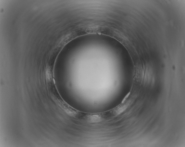 X0000072990287200607211207